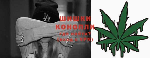молекула духа Гусев