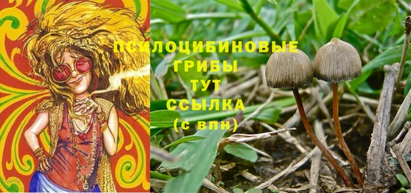 гашик Алексин