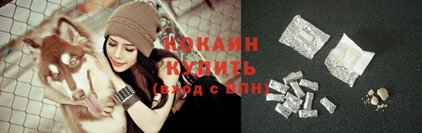 мяу мяу мука Аркадак