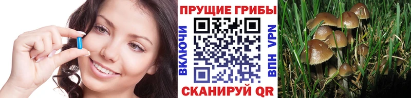 Галлюциногенные грибы ЛСД  Козьмодемьянск 